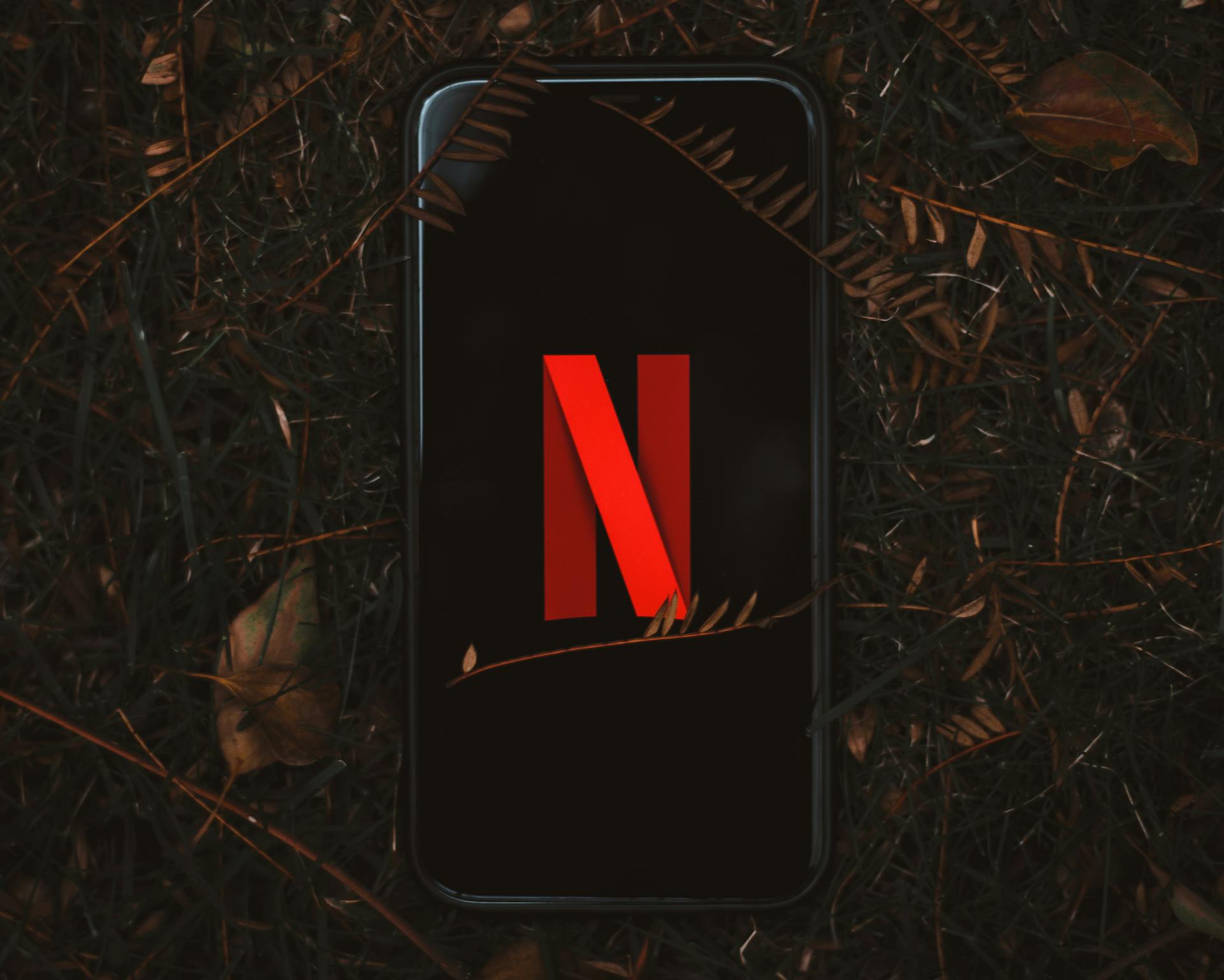 Netflix's Ad-Tier Evolution: A Catalyst for New Advertising Trends in 2024 